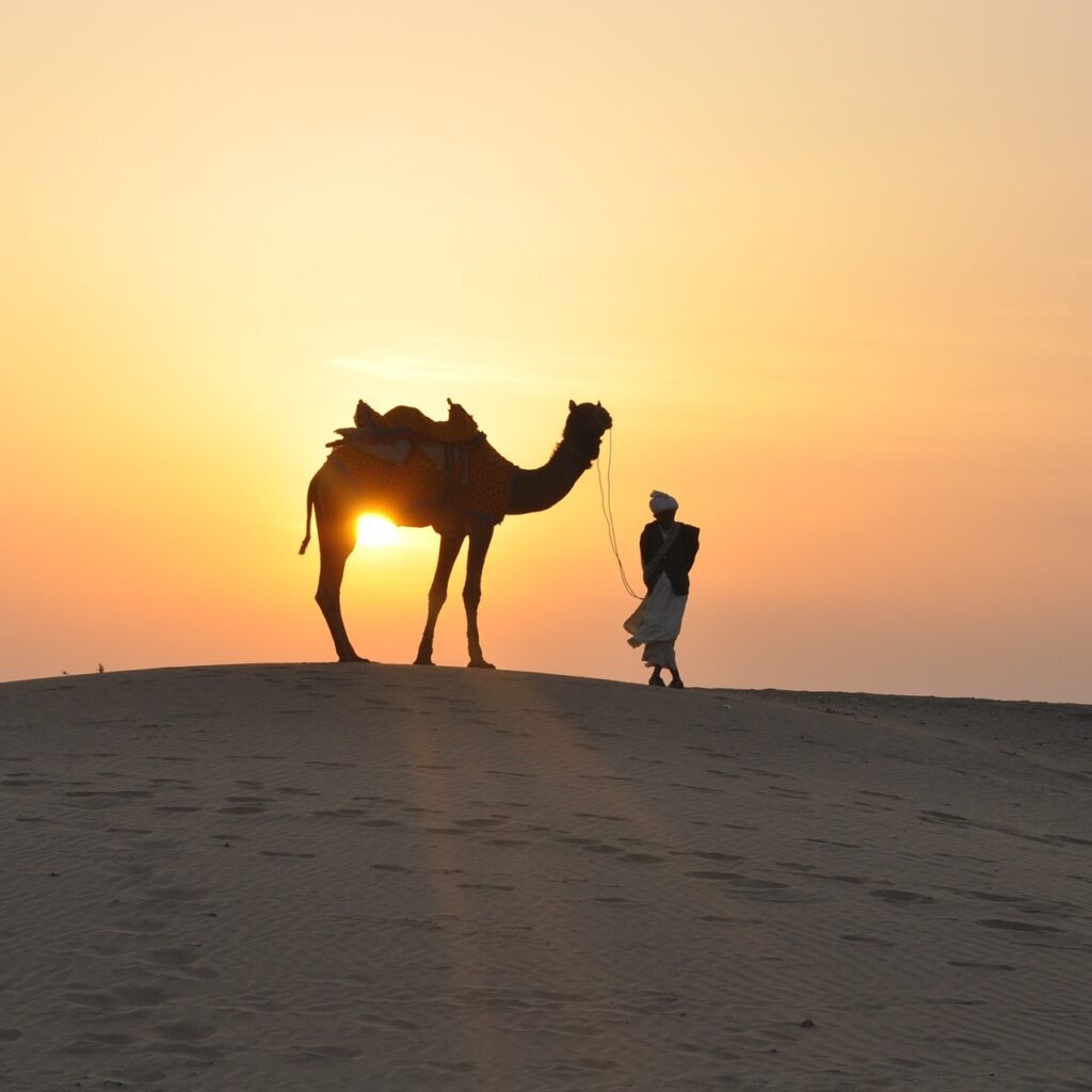 Sonnenuntergang Kamel